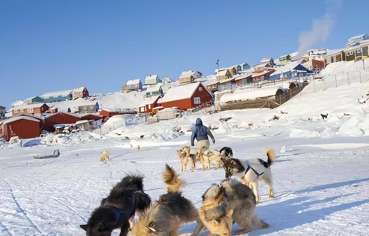 朗普刚要开心就收到了坏消息不到1天格陵兰就被出卖了特(图30) 朗普刚要开心就收到了坏消息不到1天格陵兰就被出卖了特(图30)